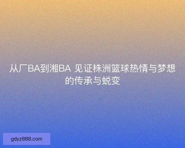 从厂BA到湘BA 见证株洲篮球热情与梦想的传承与蜕变