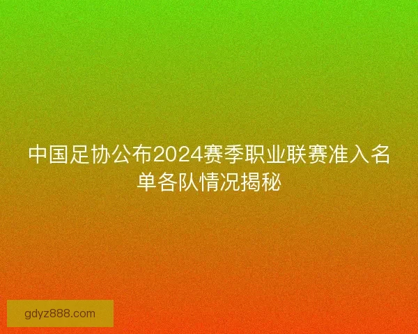 中国足协公布2024赛季职业联赛准入名单各队情况揭秘 中国足协公布2024赛季职业联赛准入名单各队情况揭秘