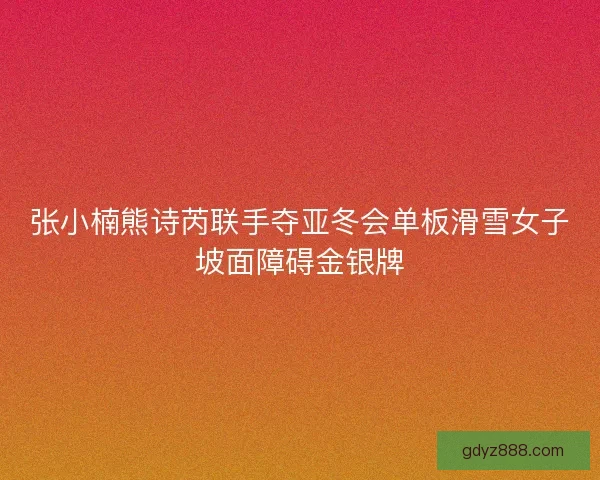 张小楠熊诗芮联手夺亚冬会单板滑雪女子坡面障碍金银牌 张小楠熊诗芮联手夺亚冬会单板滑雪女子坡面障碍金银牌